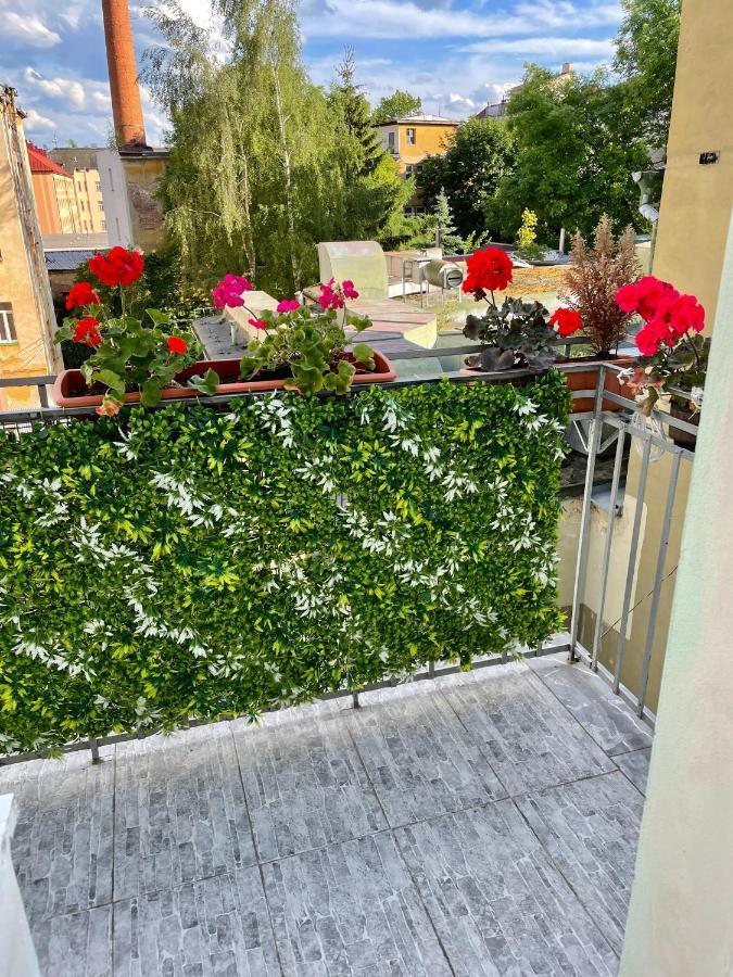 Pension Majovka 海布 外观 照片